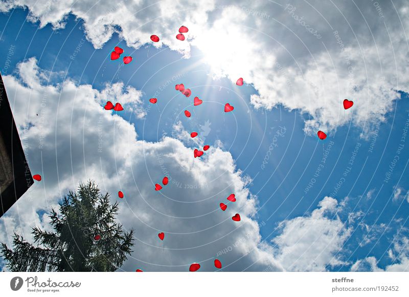 Happy Birthday Sky Clouds Beautiful weather Joy Love Feasts & Celebrations Balloon Colour photo Exterior shot