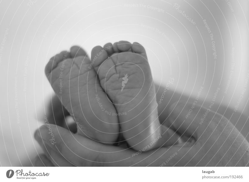 baby feet Human being Baby Toddler Parents Adults Family & Relations Hand Legs Feet Discover Lie Looking Happiness Happy Small Cute Positive Clean Pregnant