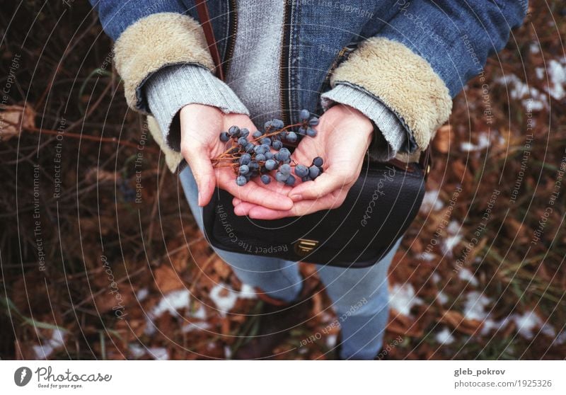 Winter grapes Lifestyle Style Hiking Feminine Young woman Youth (Young adults) Hand 1 Human being 18 - 30 years Adults Nature Snow Agricultural crop Garden