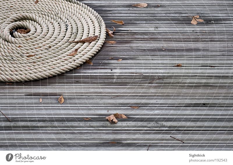 The rope Autumn Leaf Terrace Garden Snail Rope Wood Knot Lie Tug-of-war Round Brown Gray Moody Calm coiled Coil Colour photo Exterior shot Detail Pattern
