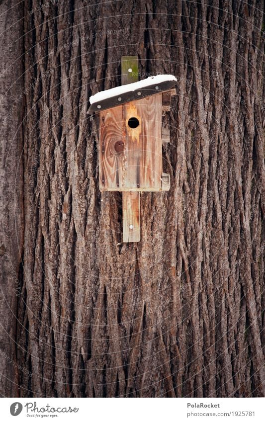#AS# Cuckoo! Art Esthetic Birdhouse Wood Tree Nature reserve Environmental protection Winter House (Residential Structure) Flat (apartment) Living or residing