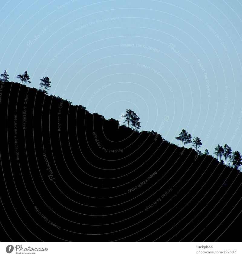 downhill Mountain Environment Nature Landscape Plant Earth Sky Cloudless sky Tree Field Hill To fall To dry up Growth Threat Above Gloomy Dry Blue Black Calm