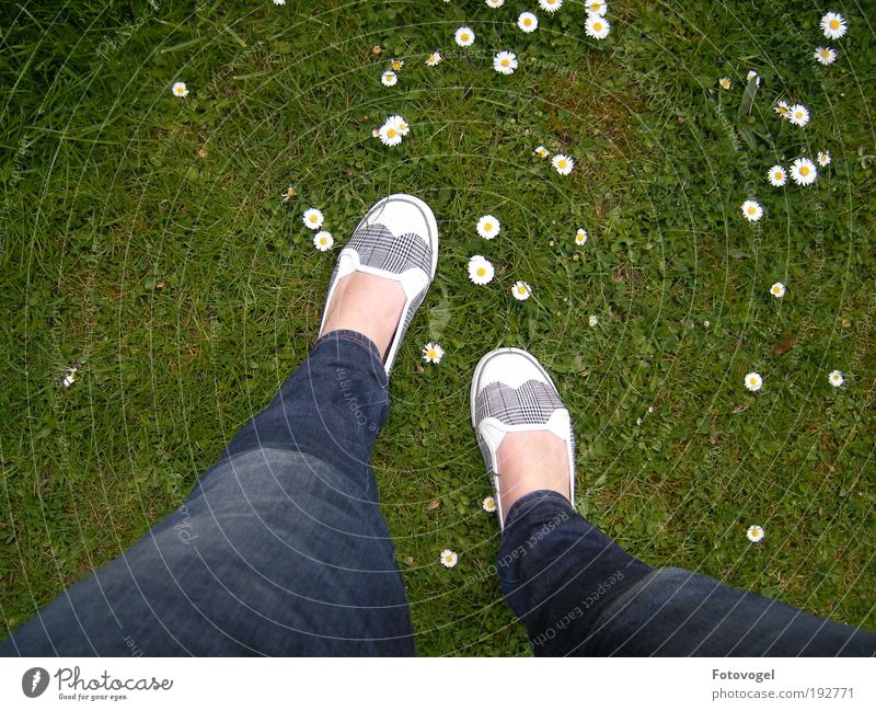 single file Feminine Legs Feet Nature Summer Beautiful weather Plant Flower Meadow Observe Walking Fresh Natural Green White Happiness Contentment Spring fever