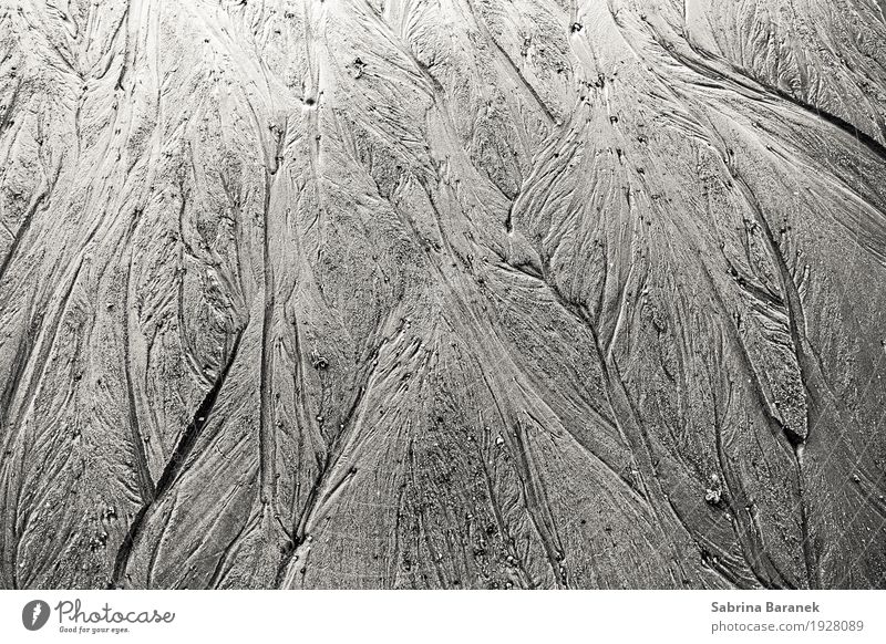 Sand I Environment Nature Landscape Beach Water Emotions Moody Passion To console Serene Patient Longing Black & white photo Exterior shot Detail Abstract