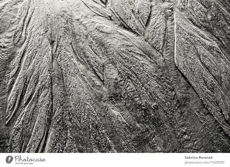 Sand II Environment Nature Earth Water Drops of water North Sea Emotions Moody Black & white photo Exterior shot Close-up Detail Abstract Pattern