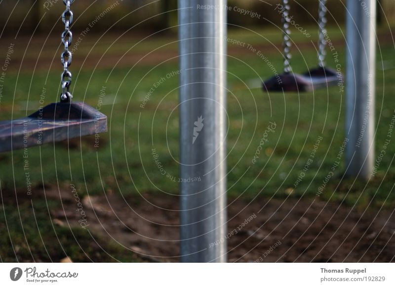 swing Joy Leisure and hobbies Playing Children's game Playground Plant Meadow Deserted Swing Swing chain To swing Colour photo Exterior shot Close-up