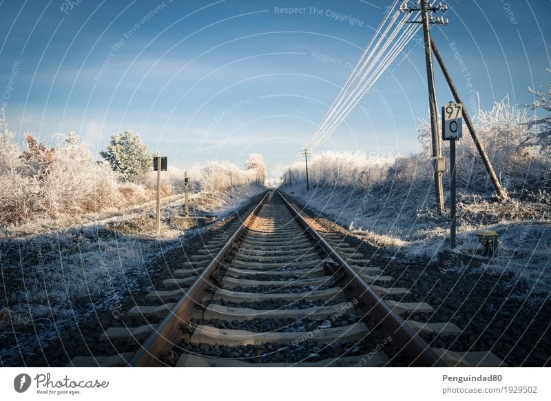 Straight forward... Vacation & Travel Trip Far-off places Winter Snow Railroad tracks Transport Means of transport Traffic infrastructure Train travel Road sign