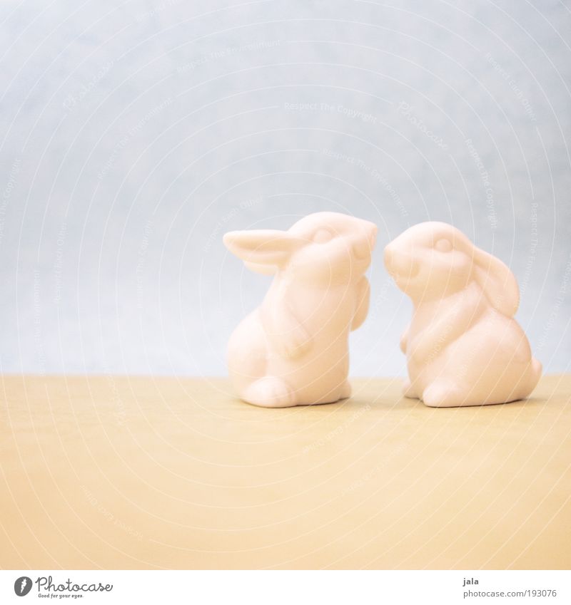 lovers Animal Hare & Rabbit & Bunny Bright Soft Couple Love Lovers Easter Pastel tone Figure Porcelain White Colour photo Interior shot Copy Space top