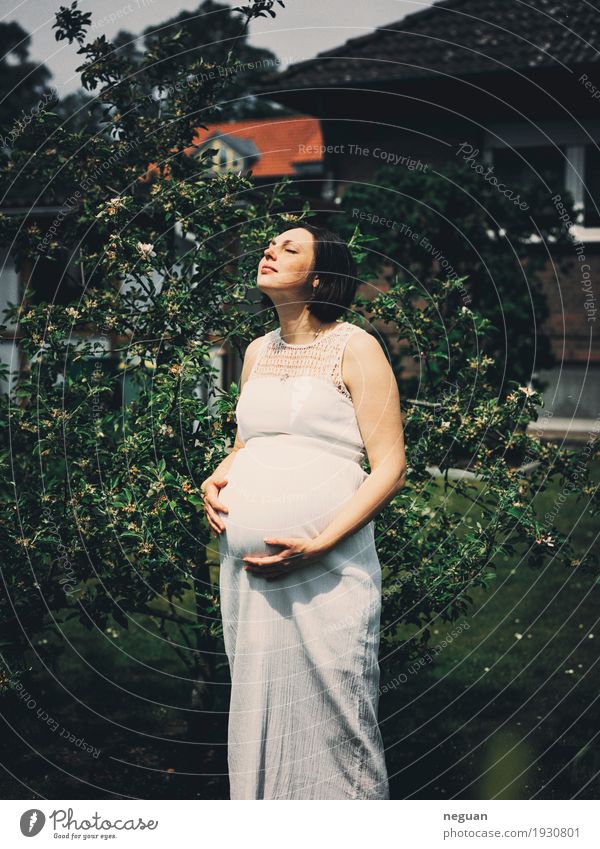 new birth Body Human being Feminine Mother Adults To enjoy Dream Emotions pregnant schwanger natur girl newlife baby kugelbauch erwartung hoffnung zuversicht