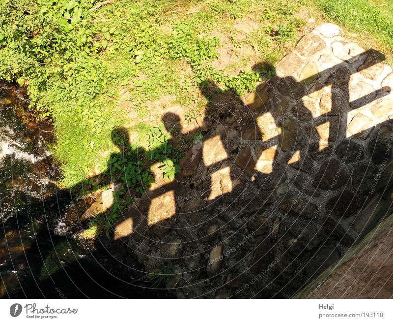 Shadow of four people on a bridge railing Harmonious Leisure and hobbies Trip Human being Masculine Friendship Couple 4 Nature Landscape Plant Water Summer