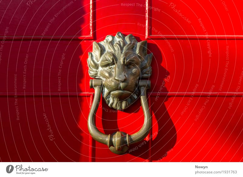 Lion Door Knocker Style Design Living or residing Flat (apartment) House (Residential Structure) House building Furniture Manmade structures Building