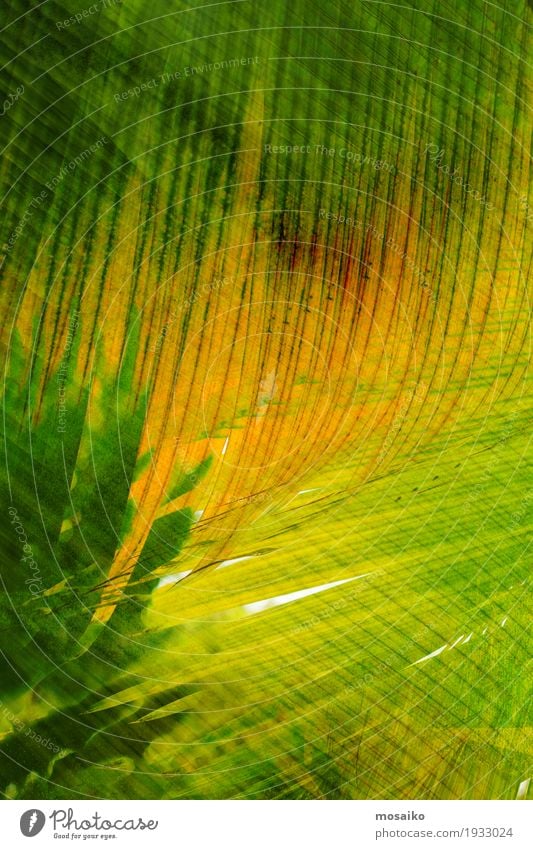 Textures of Tropical Plants Style Design Art Nature Leaf Stripe Modern Yellow Green Colour Material Surface Vertical Geometry Illustration Trend Graphic