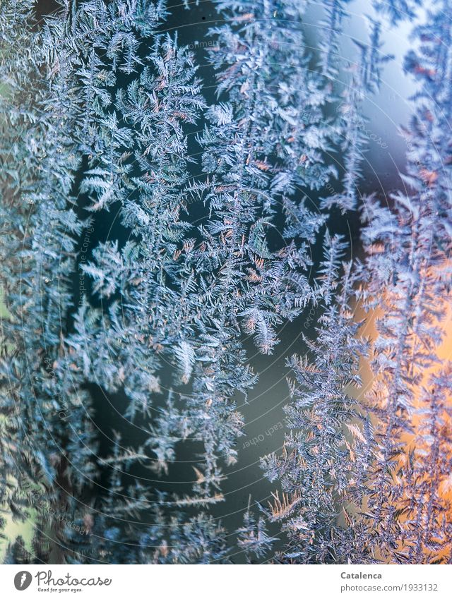 Great climate | for scratching discs Nature Water Winter Ice Frost Motoring Car Glass Freeze Glittering pretty Blue Green Orange Black Turquoise Bizarre Climate