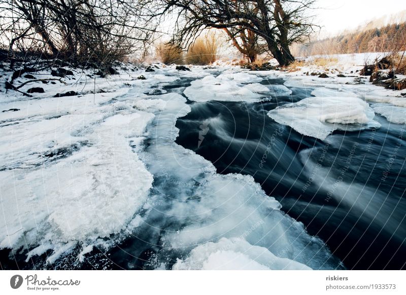 Eisbach Environment Nature Landscape Plant Water Winter Beautiful weather Ice Frost Snow Brook River Esthetic Natural Wild Blue White Hissing Current