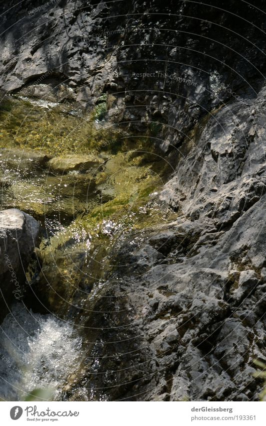 visual refreshment Nature Water Summer Rock Alps Canyon Brook Gray Green White Flow Speed Colour photo Exterior shot Detail Deserted Day Light Shadow