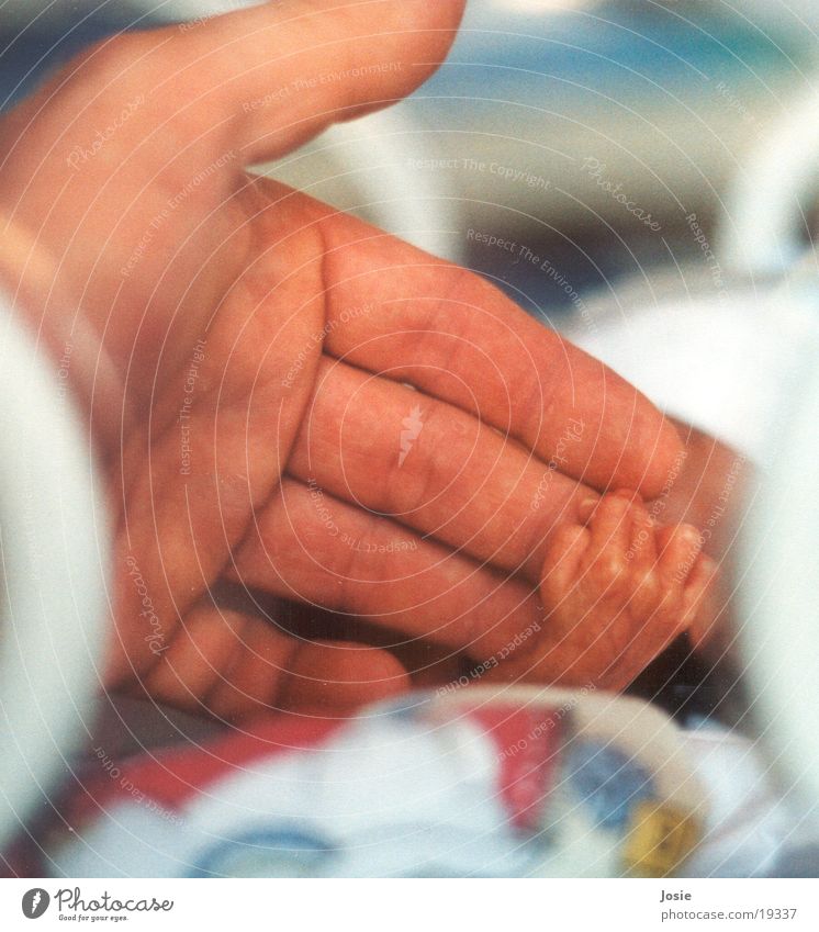 Reaching out Premature birth Hand Human being Life