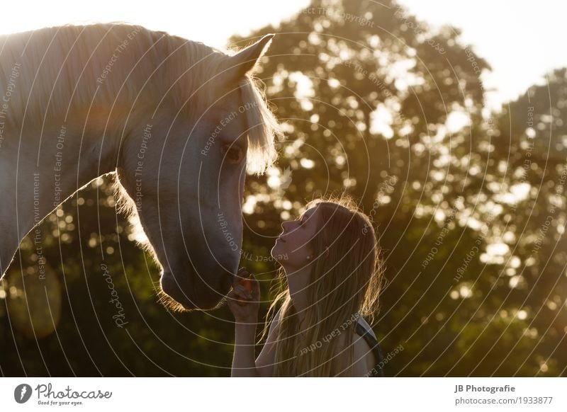 "Hey, Dude." Ride Summer Sun Equestrian sports Human being Feminine Young woman Youth (Young adults) Hair and hairstyles Face 18 - 30 years Adults Landscape Sky