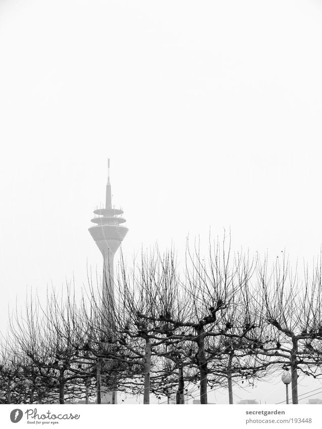 excellent. Environment Plant Cloudless sky Winter Fog Tree Duesseldorf Outskirts Old town Skyline Tower Tourist Attraction Landmark Rheinturm Rheinpromenade