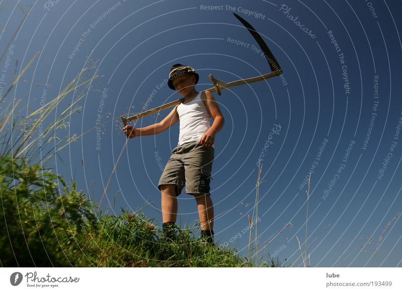 The Grim Reaper Gardening Workplace Masculine Environment Nature Landscape Cloudless sky Summer Beautiful weather Grass Bushes Meadow Field Work and employment
