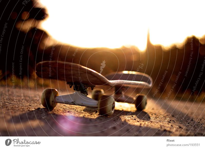 Back to the street (reload) Sunlight Beautiful weather Skateboard Colour photo Exterior shot Copy Space top Twilight Sunbeam Back-light Shallow depth of field