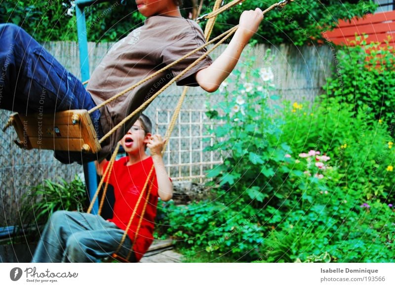 HUI Playing Schaukeln Human being Masculine Child Boy (child) 2 8 - 13 years Infancy Nature Plant Flower Grass Garden To swing Free Together Happy Infinity