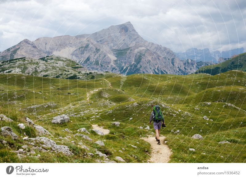 Hiker in the high mountains in the idyll hikers Man Hiking Nature Human being trekking Adventure Mountain Backpack Vacation & Travel Tourism Vantage point