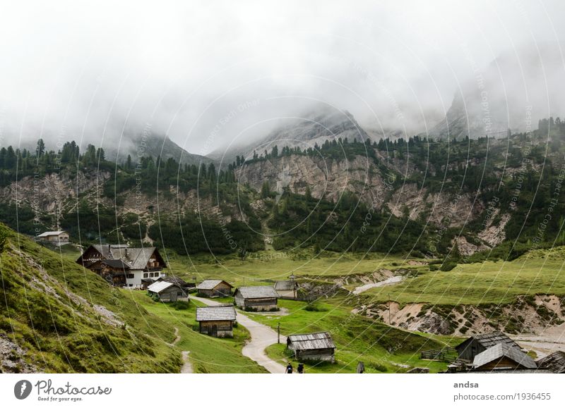 Small village in the Dolomites in fog Village Fog Green High fog Clouds Bad weather poor visibility Primordial House (Residential Structure) houses ways Forest