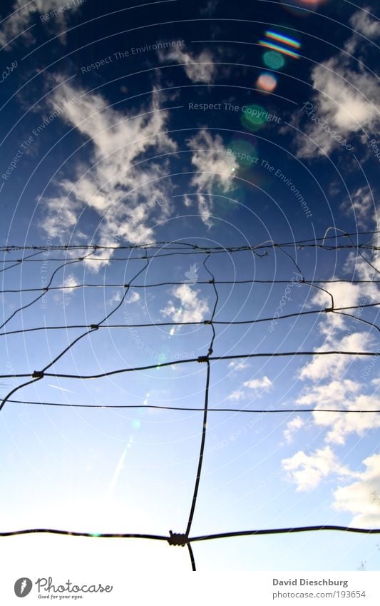 Fence up to the clouds Sky Clouds Beautiful weather Blue White Wire Grid Knot Network Barrier Barred Border Boundary Cloud formation Cloud pattern Illuminate