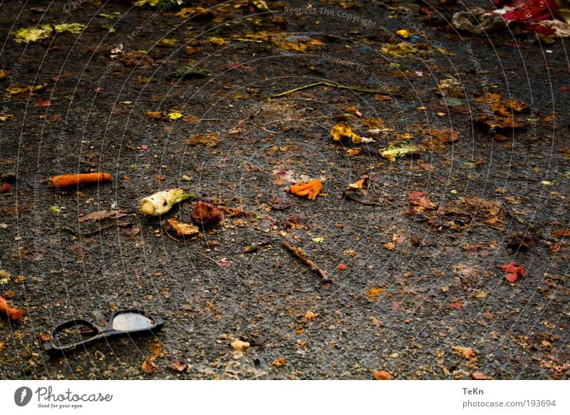 was over.... Food Vegetable Fruit Environment Nature Dirty Broken Fish Carrot Mud Sludgy Eyeglasses Colour photo Exterior shot Detail Deserted Day Contrast