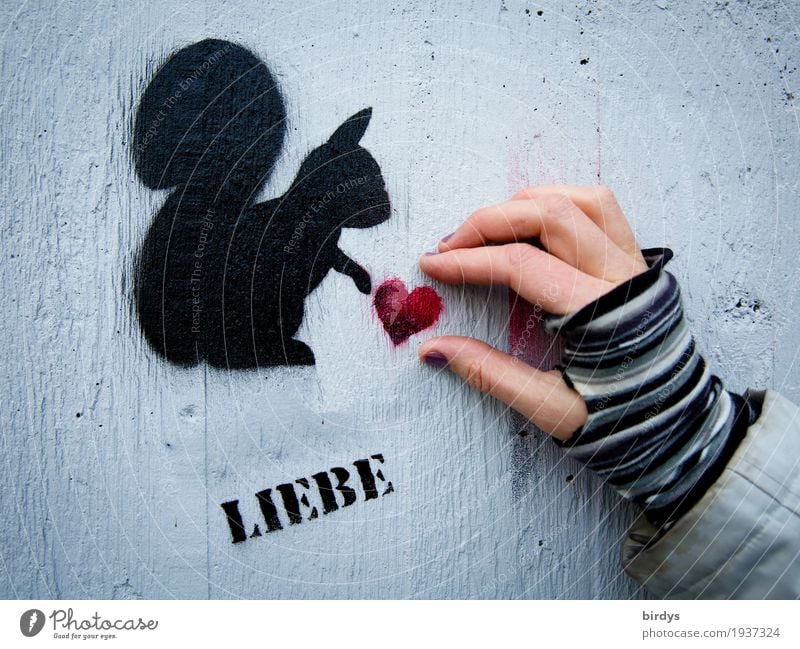 Squirrel distributes hearts, graffiti on a wall. Human hand mot interaction . Love give love Heart Feminine Woman Adults Hand Human being Gloves Animal Graffiti