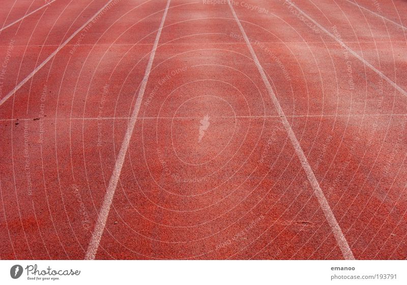 Run straight away Sports Track and Field Sportsperson Jogging Sporting Complex Football pitch Racecourse Movement Walking Speed Hundred-metre sprint Line