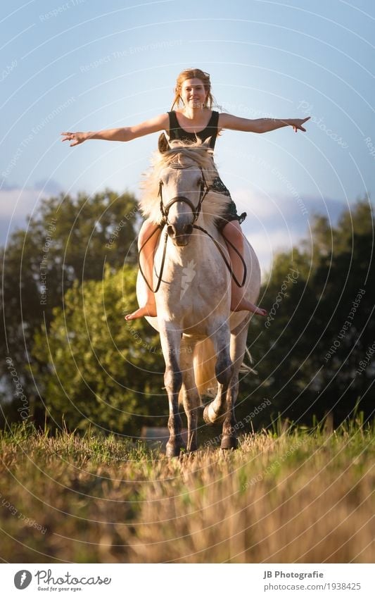 "Have a dream about it" Ride Equestrian sports Feminine Young woman Youth (Young adults) Body Hair and hairstyles 18 - 30 years Adults Nature Landscape Summer