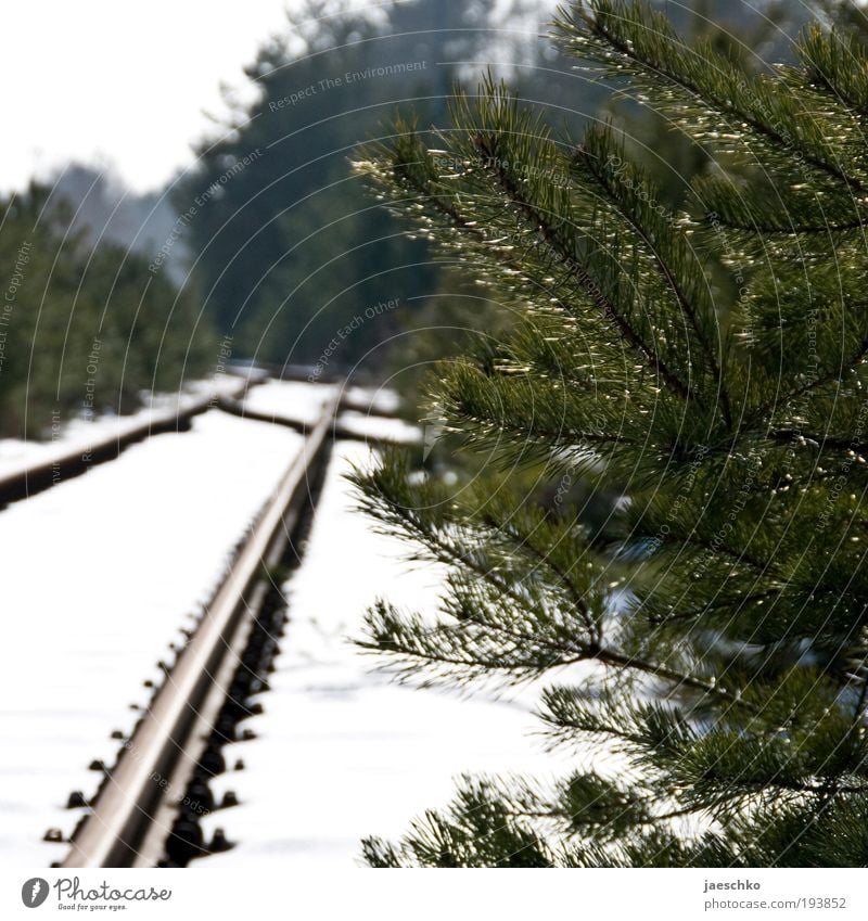 Next stop: Forest. Advancement Future Winter Snow Tree Fir tree Twigs and branches Rail transport Railroad tracks Switch Curiosity Hope Idyll Climate