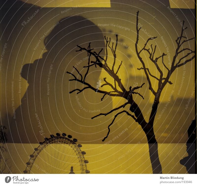 double#2 Sightseeing City trip Life 1 Human being Autumn Tree London Capital city London Eye Tourist Attraction Observe Discover Dream Wait Exceptional Dark