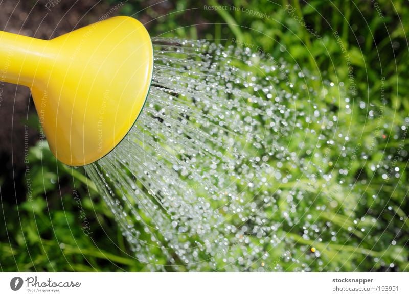 Watering Watering can Tin spout Liquid Drop Trickle Garden Gardening Summer outdoor Exterior shot