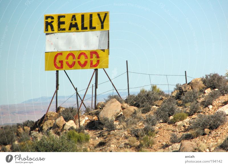 really good Landscape Bushes Rock Canyon Signs and labeling Discover Looking Infinity Crazy Blue Yellow Red Black Cool (slang) Pride Inspiration Communicate