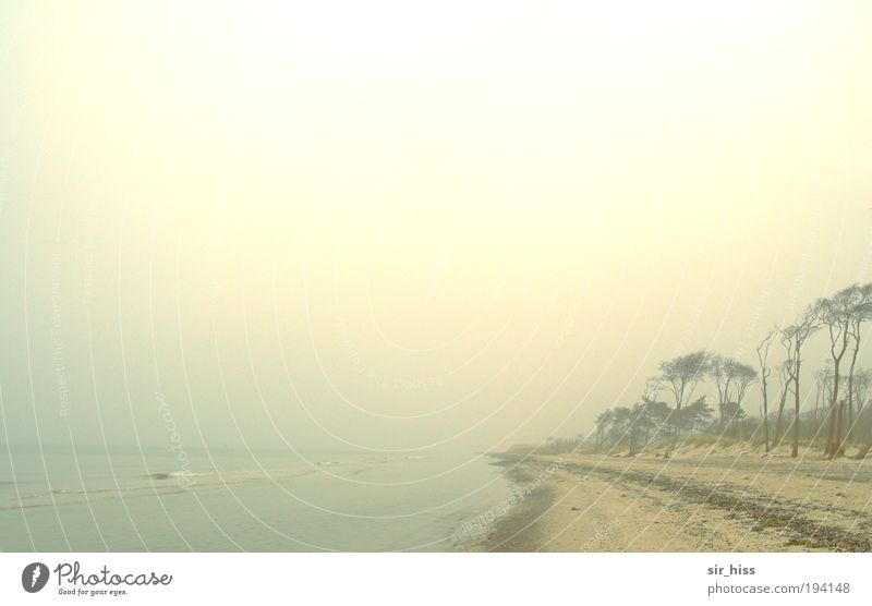 West beach in the evening fog Nature Landscape Sand Water Sunrise Sunset Wind Gale Coast Baltic Sea Ocean Blue Brown Yellow Gold Red Contentment