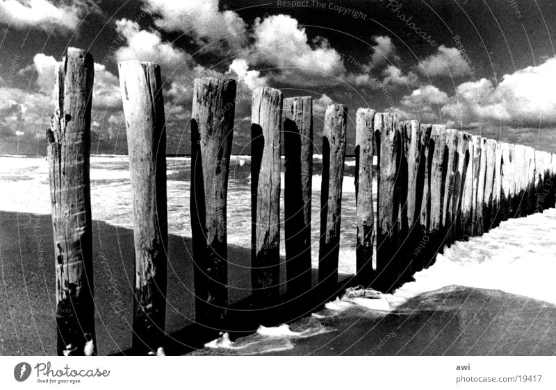 Clouds and sea Beach Ocean Wood Netherlands White crest Lake Break water Sky Contrast Black & white photo Pole