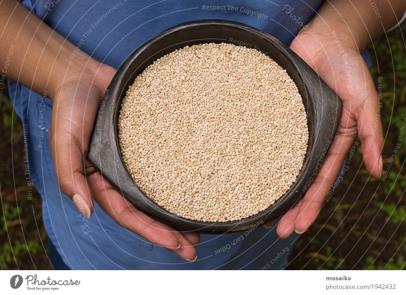 close up of hands holding a bowl of quinoa - local peruvian food Nutrition Vegetarian diet Diet Bowl Hand Fingers Nature Free Natural Brown White Ingredients
