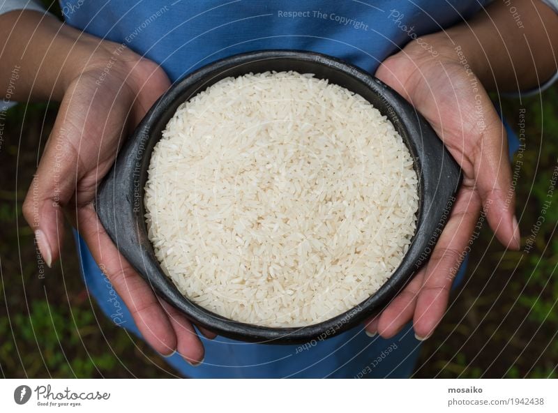 hands holding rice in a bowl Nutrition Vegetarian diet Diet Bowl Hand Fingers Nature Natural Dry White Tradition Rice Cooking Organic Meal Ingredients Raw