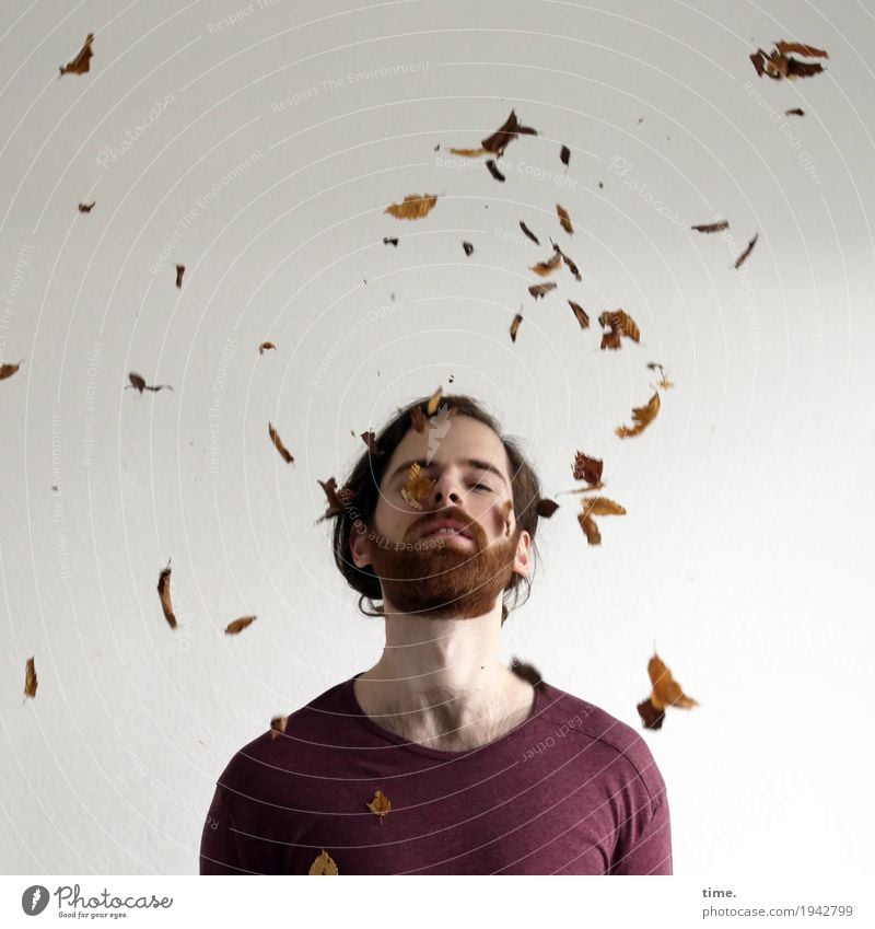 Man in rain of leaves Masculine Adults 1 Human being Work of art Sculpture Dance Leaf Autumn leaves T-shirt Long-haired Beard To fall Flying To enjoy pretty