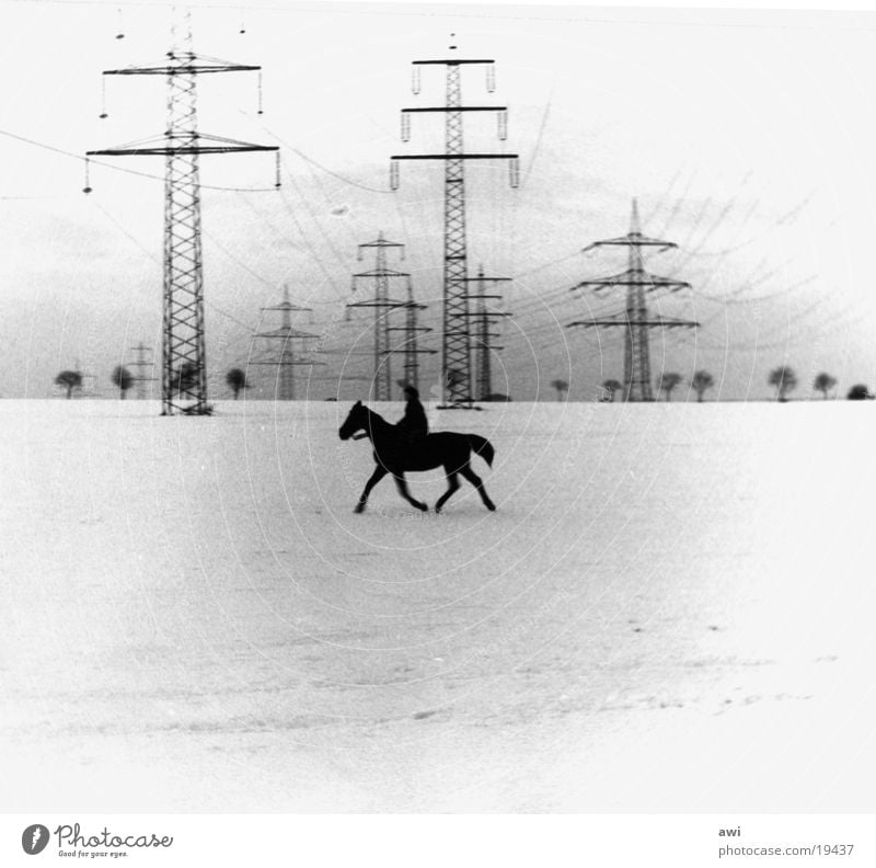 Lonely Rider Horse Field Electricity pylon Loneliness Snow Black & white photo