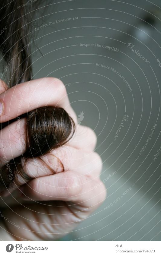 B Hair and hairstyles Brunette Long-haired Curl Brown Boredom Hand Woman Esthetic Strand of hair Fingers Skin Girlish Girl's hair Delicate Close-up
