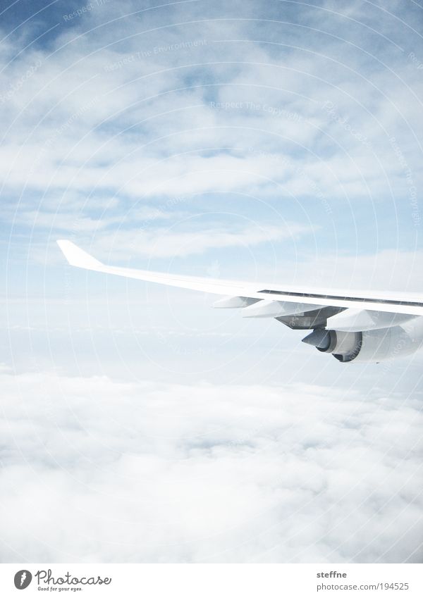 Between the clouds Sky Clouds Beautiful weather Aviation Airplane Passenger plane View from the airplane Vacation & Travel Tourism Business trip Engines Wing