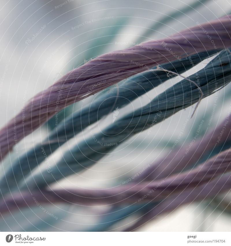 strings String Rope Plastic Stripe Bow Blue Violet Chaos Distorted Rotated twirl twirled Colour photo Exterior shot Detail Copy Space top Day