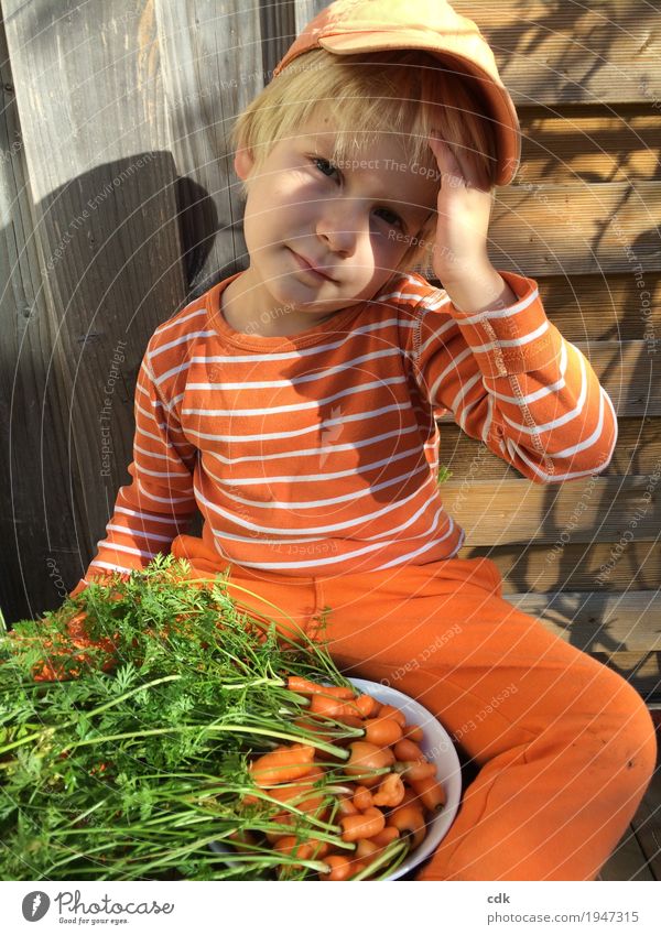 Childhood | own harvest - small but nice! Autumn Beautiful weather Carrot Authentic Fresh Delicious Orange Infancy Colour photo Exterior shot Day Light Shadow