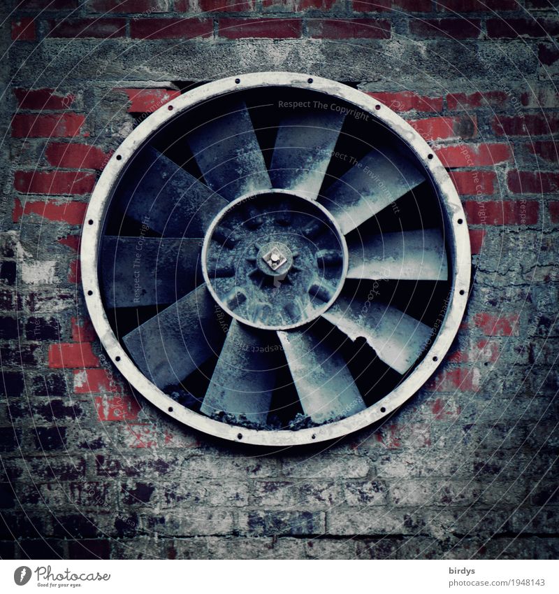 raise wind Industry Technology Factory Wall (barrier) Wall (building) Fan Ventilation Large Round Climate Derelict Brick wall Colour photo Subdued colour
