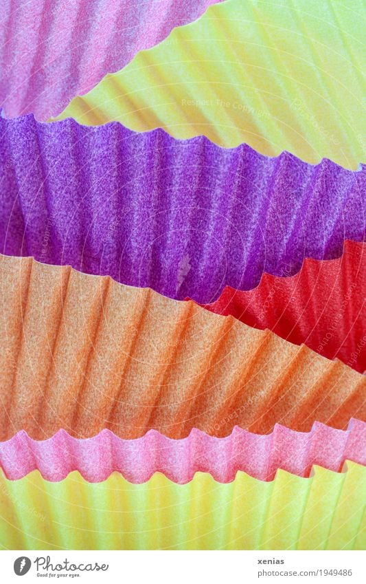 colourful macro shot of muffin tins Muffin Paper Yellow Violet Orange Pink Red Colour Multicoloured Undulation Studio shot Close-up Detail Structures and shapes