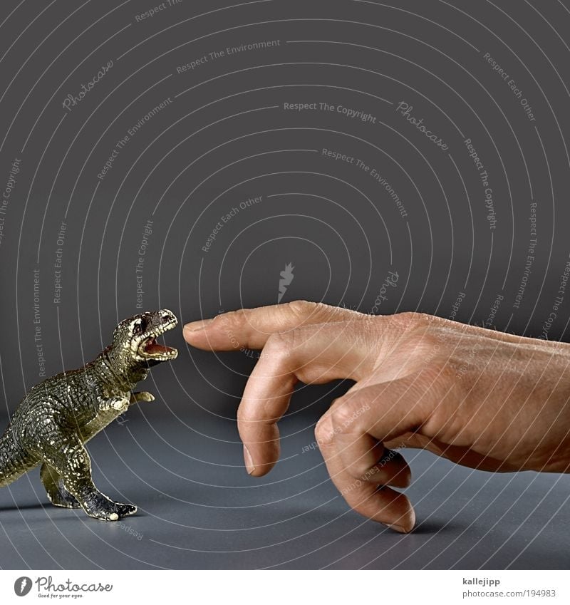finger food Hand Fingers Animal Claw Paw To feed Dinosaur Forefinger Biology Evolution Set of teeth Bite Hunting Primitive times Saurians Reptiles