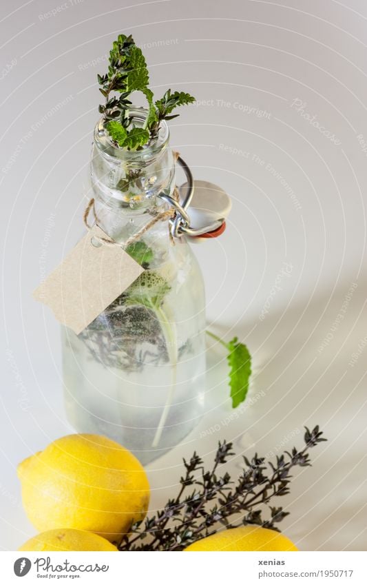 homemade lemonade in bottle with label Cold drink Lemon clip-on bottle fruit Herbs and spices Mint Thyme Beverage Drinking water Lemonade Healthy Eating Sour
